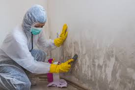 Best Post-Construction Mold Inspection  in Greenfield, CA